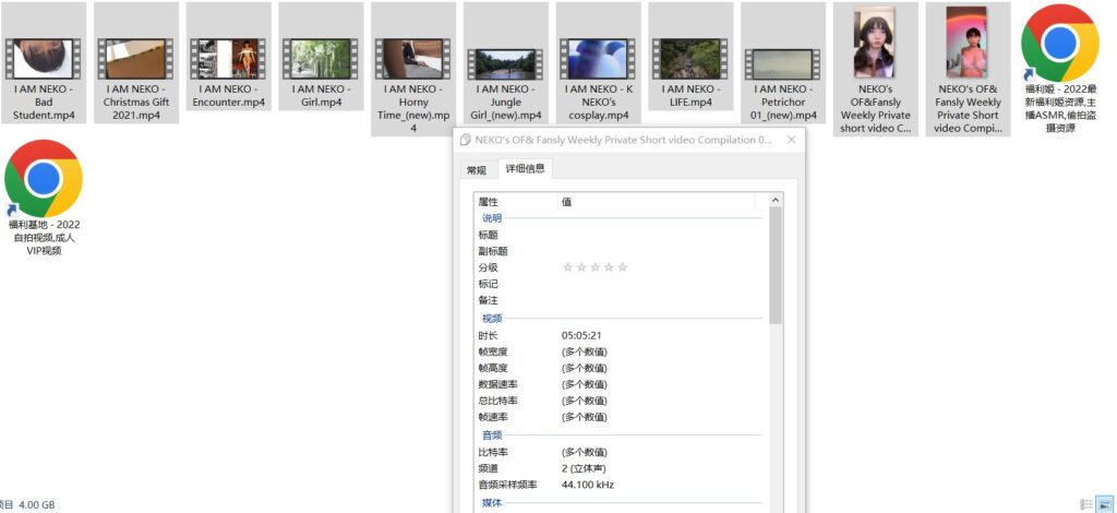 推特NEKO和土豪啪啪